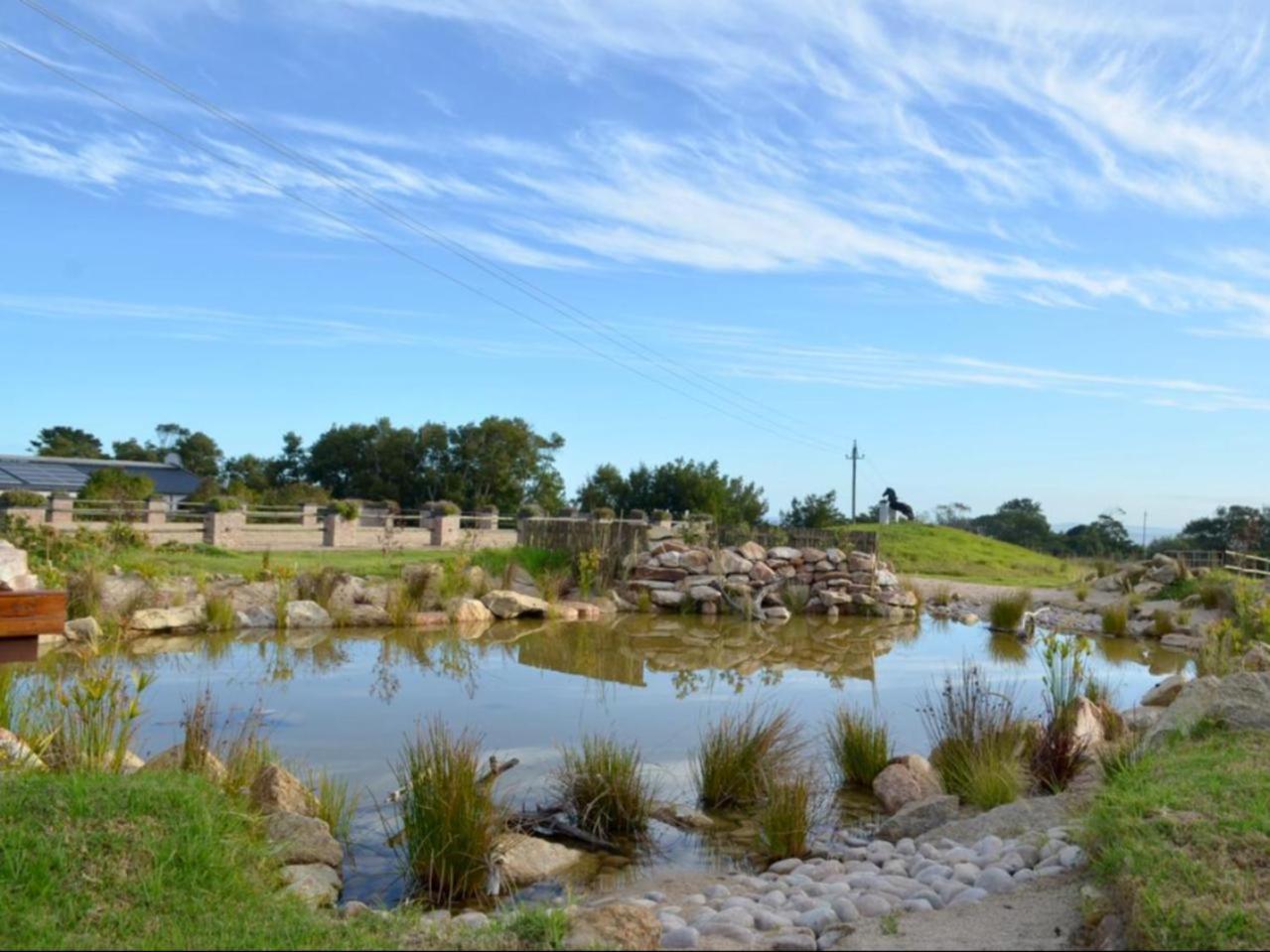 Dunkes Organic Equestrian Estate Apartment George Room photo
