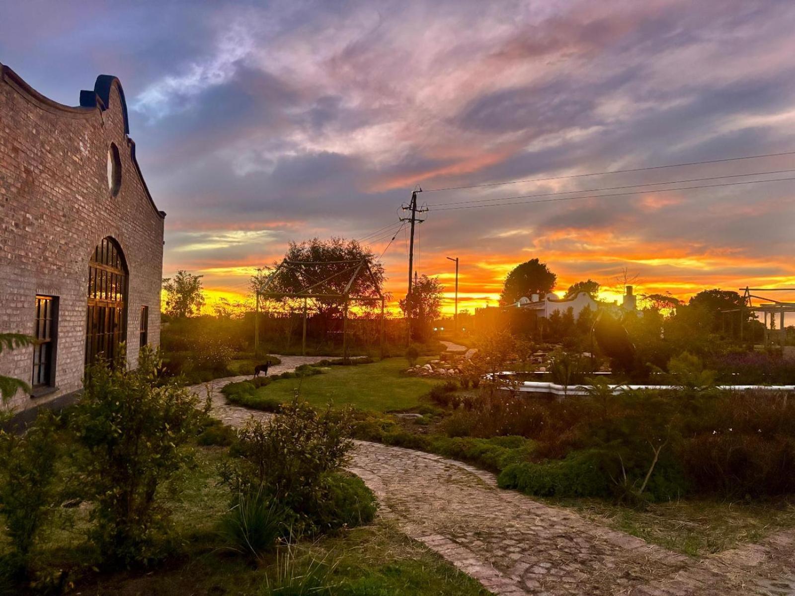 Dunkes Organic Equestrian Estate Apartment George Exterior photo